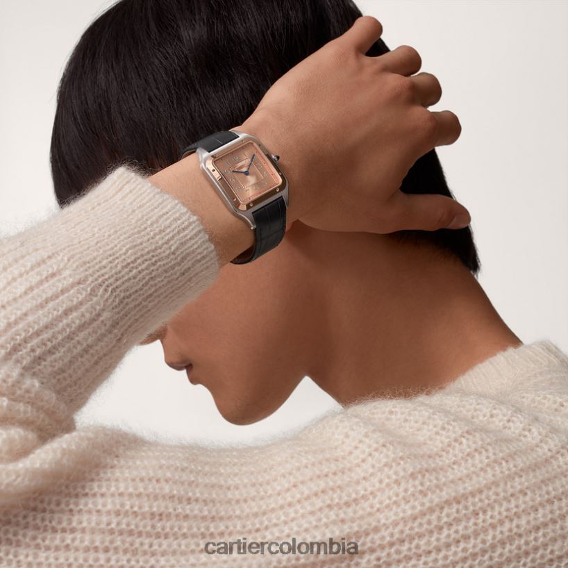 accesorios Cartier reloj santos-dumont elegante V0HXJN897