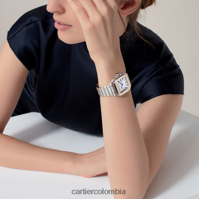 accesorios Cartier reloj santos elegante V0HXJN863