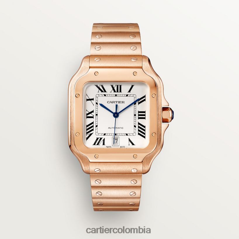 accesorios Cartier reloj santos elegante V0HXJN878