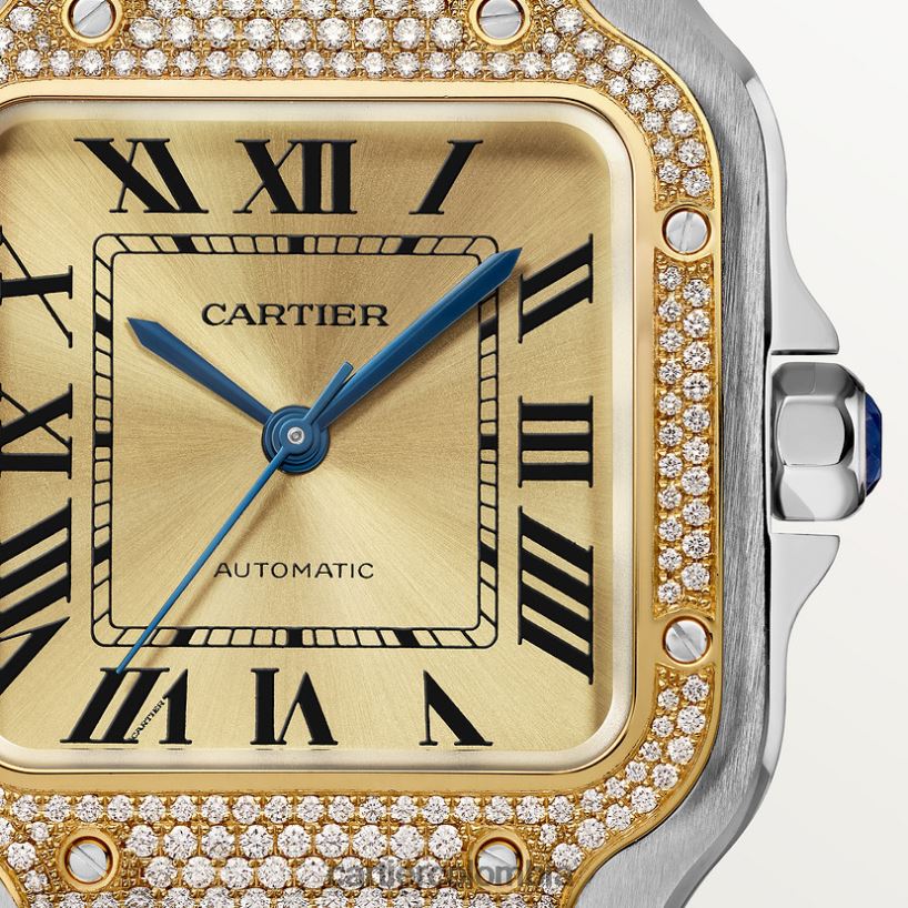 accesorios Cartier reloj santos elegante V0HXJN879