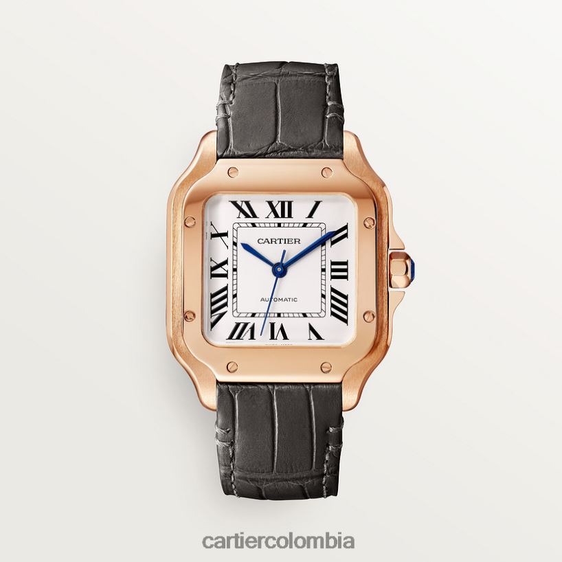 accesorios Cartier reloj santos elegante V0HXJN880