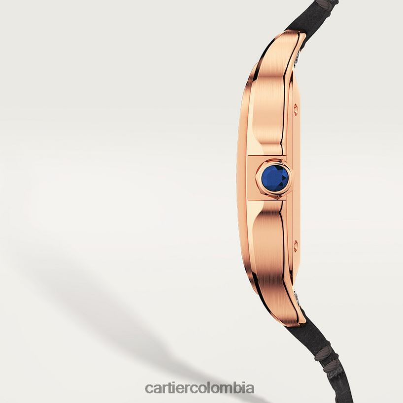 accesorios Cartier reloj santos elegante V0HXJN880
