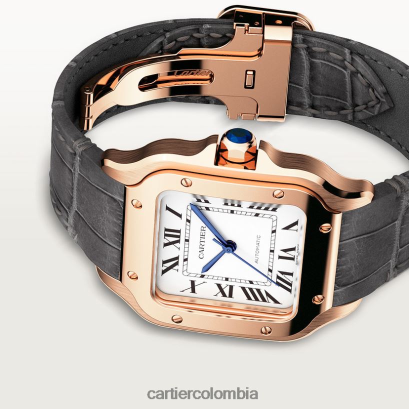 accesorios Cartier reloj santos elegante V0HXJN880