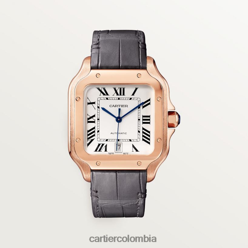 accesorios Cartier reloj santos elegante V0HXJN884