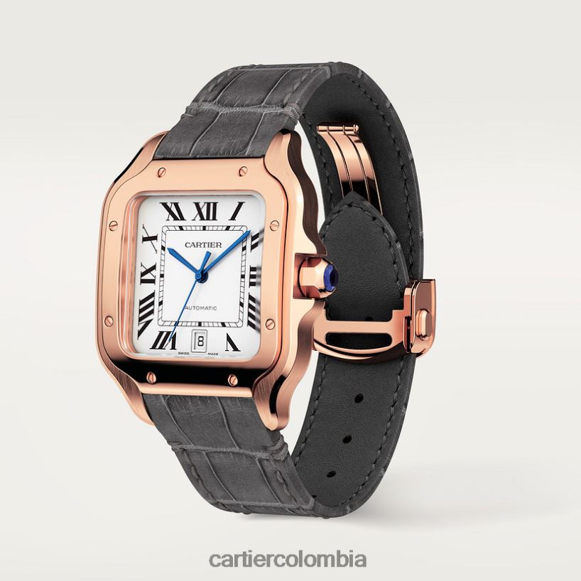 accesorios Cartier reloj santos elegante V0HXJN884