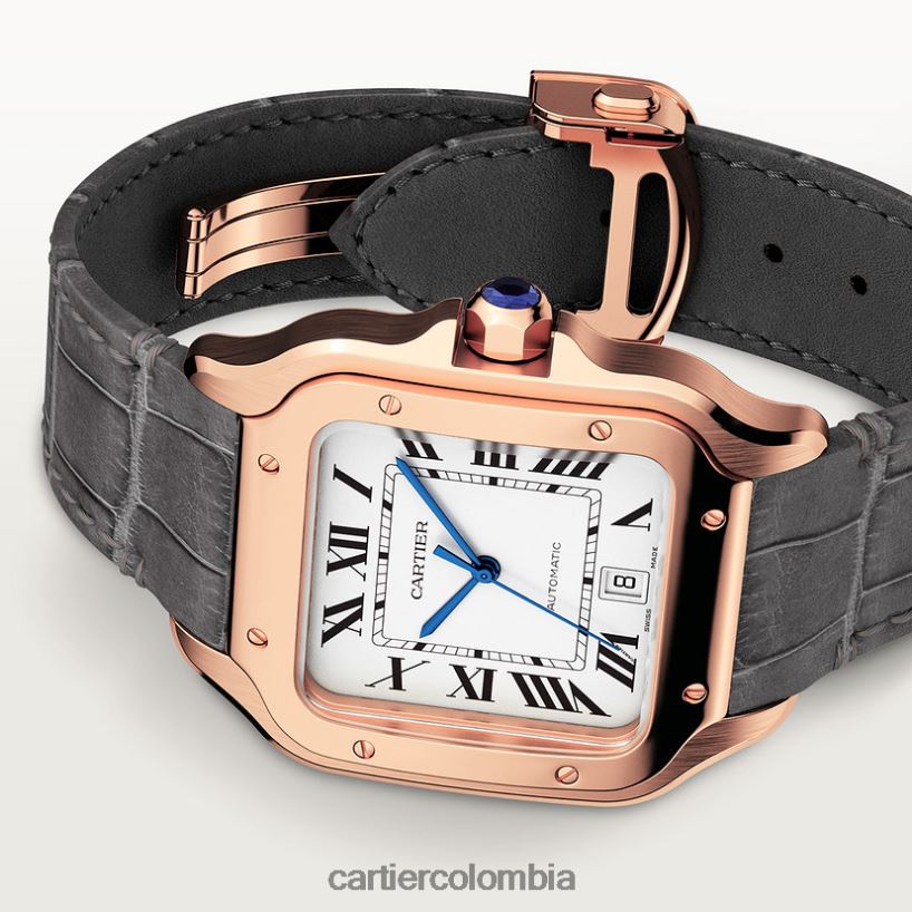 accesorios Cartier reloj santos elegante V0HXJN884