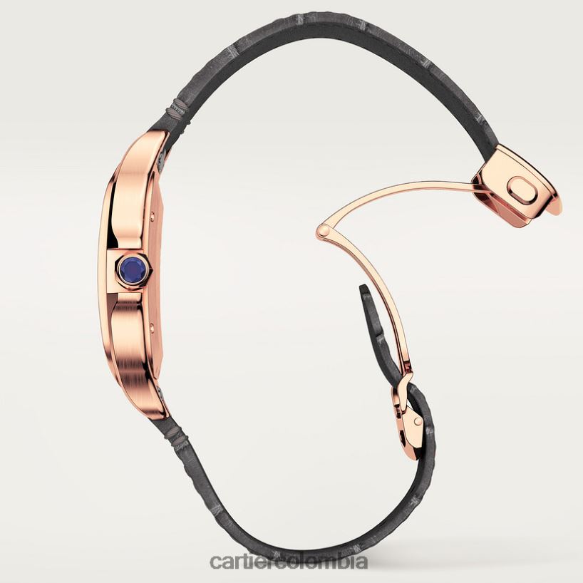 accesorios Cartier reloj santos elegante V0HXJN884