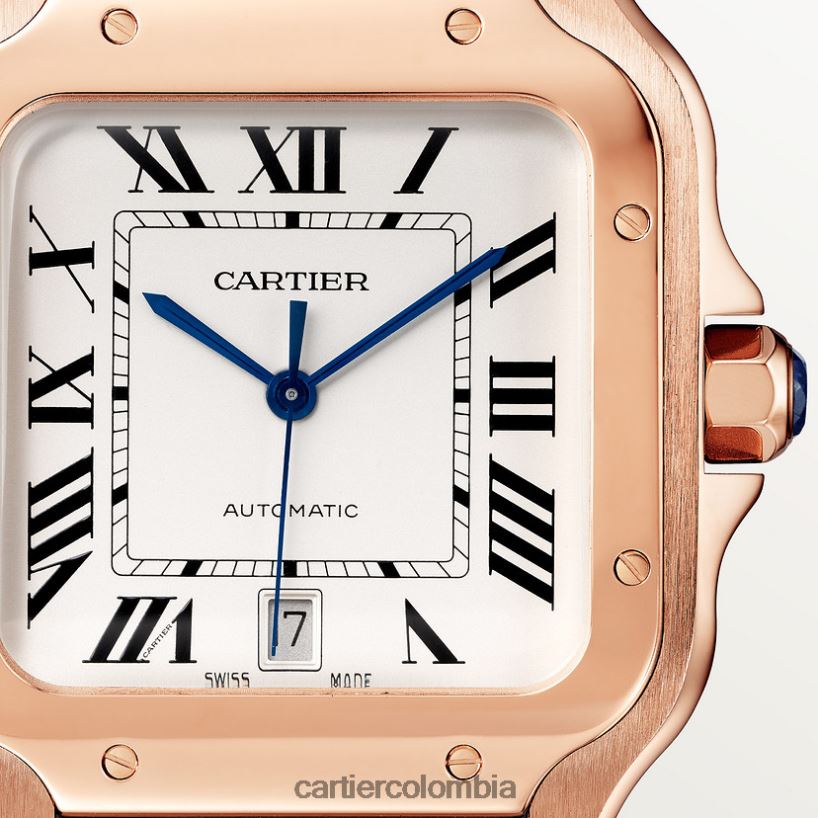 accesorios Cartier reloj santos elegante V0HXJN884