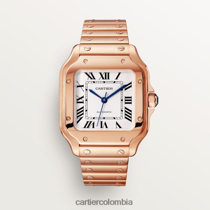 accesorios Cartier reloj santos elegante V0HXJN885
