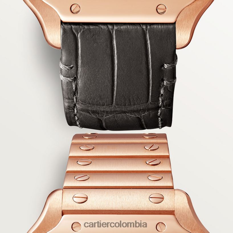 accesorios Cartier reloj santos elegante V0HXJN885