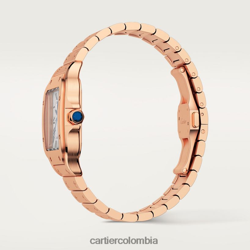 accesorios Cartier reloj santos elegante V0HXJN885