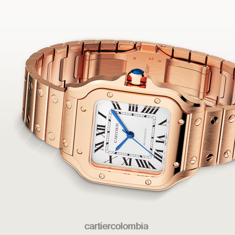 accesorios Cartier reloj santos elegante V0HXJN885
