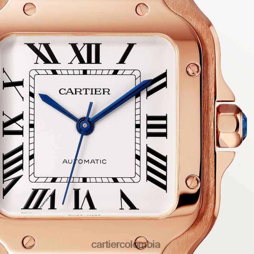 accesorios Cartier reloj santos elegante V0HXJN885