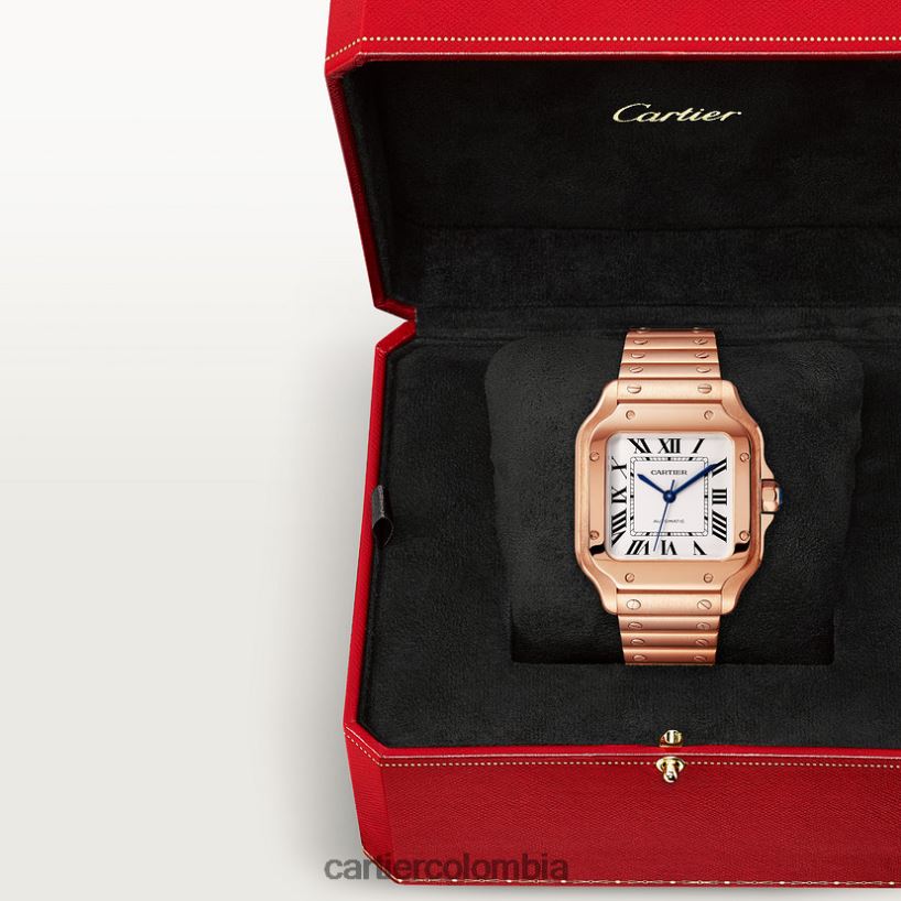 accesorios Cartier reloj santos elegante V0HXJN885