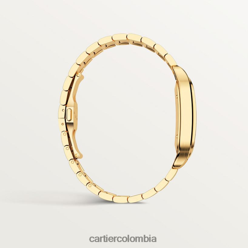 accesorios Cartier reloj santos elegante V0HXJN887