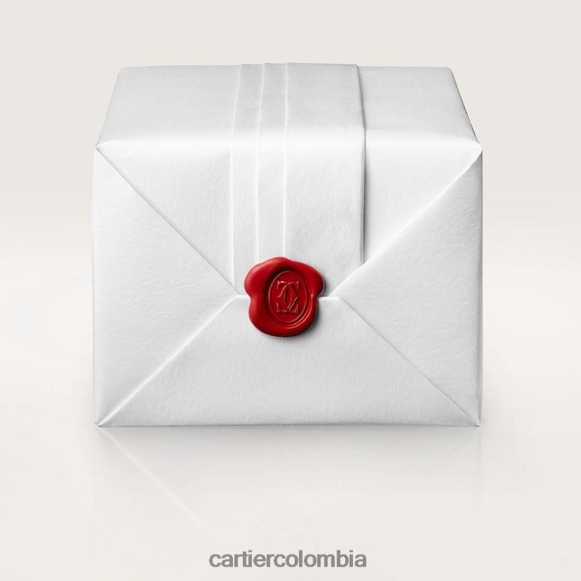 accesorios Cartier reloj santos elegante V0HXJN894