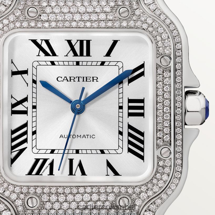 accesorios Cartier reloj santos elegante V0HXJN898