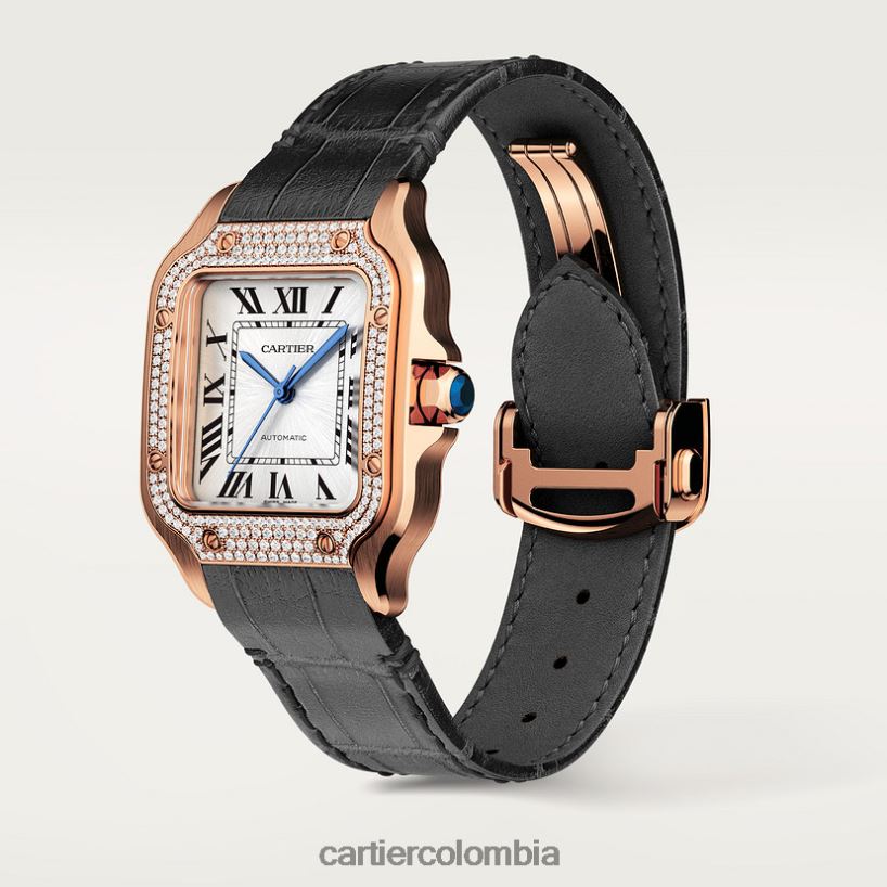 accesorios Cartier reloj santos elegante V0HXJN899