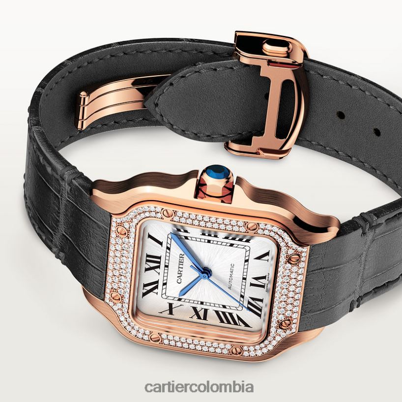 accesorios Cartier reloj santos elegante V0HXJN899