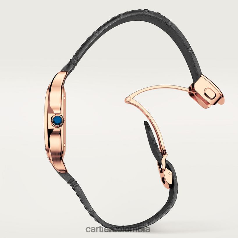 accesorios Cartier reloj santos elegante V0HXJN899