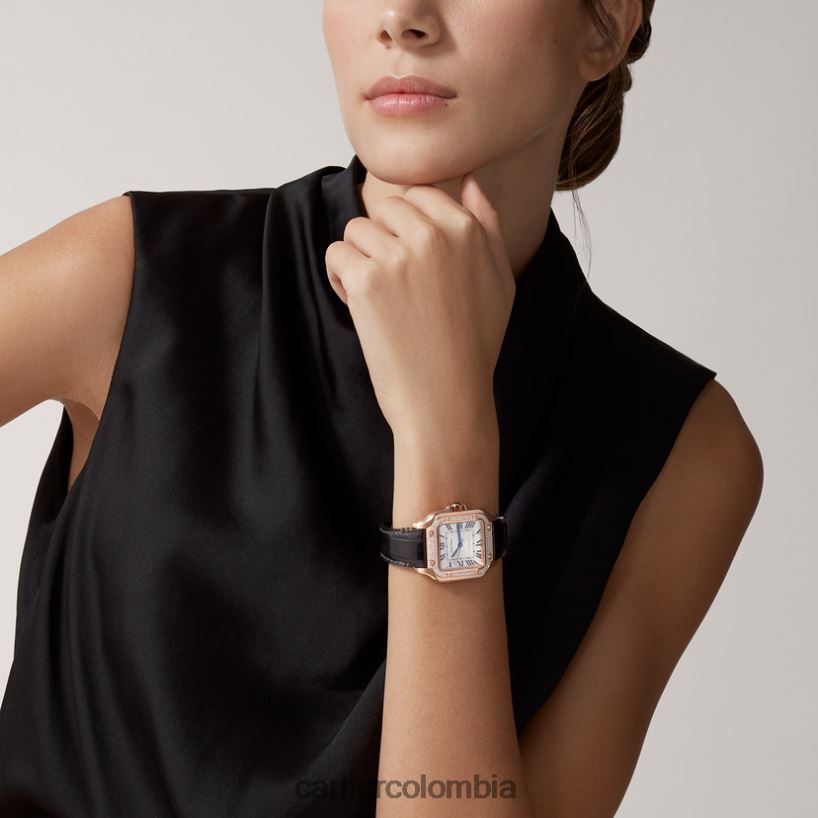 accesorios Cartier reloj santos elegante V0HXJN899