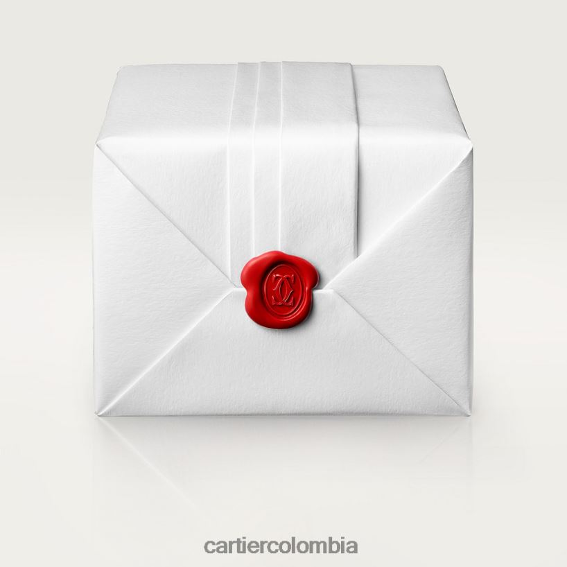 accesorios Cartier reloj santos elegante V0HXJN908